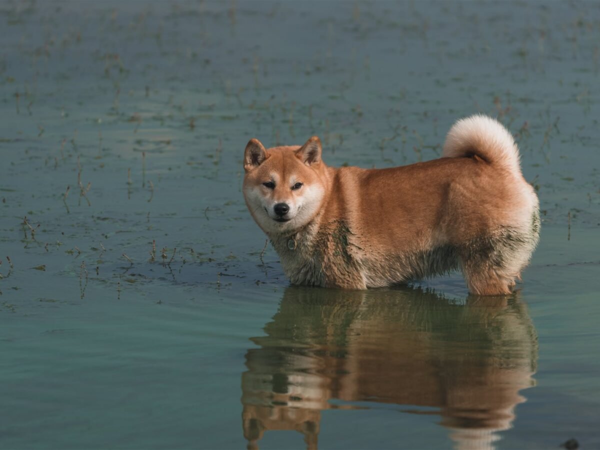 Hokkaido im Foto